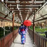 Tammy Lim - @tammylim1202 - Instagram