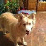 tammy - @tammylollar1964 - Instagram