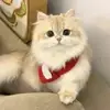 TammyLongfellow - @tammylongfellow - TikTok