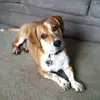 Tammy Longenecker - @tammy.longenecker - TikTok