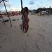 Tammy Lopes - Facebook