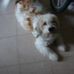 Tammy Loranger - Facebook