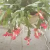 Tammy Loudermelt - @tammy.loudermelt - TikTok