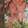 tammyloudingman - @tammyloudingman - TikTok