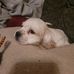 Tammy Louk - Facebook