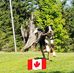 Tammy Luffman - Facebook