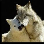 Tammy Luster - @tammy.luster - Instagram