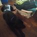 Tammy Lyle - Facebook
