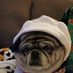 Tammy Lyon - @tammy.sweet33 - Instagram