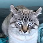 Tammy Lyon Prevette - @tpreve1 - Instagram