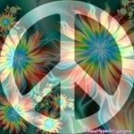 Tammy Mabe - @tammymabefarm - Instagram