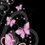 Tammy Ann - @tammy.macdougall - Instagram