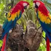 Tammy MacDougall - @tammy.macdougall - TikTok