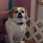 Tammy MacDougall - @tammymd14 - Instagram