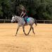 Tammy MacDougall Woodburn - Facebook