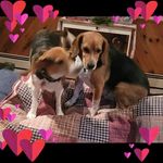 Tammy Mackey - @mac.mommy2023 - Instagram