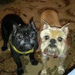 Tammy McDonald Mackey - @tammymcdonaldmackey - Instagram