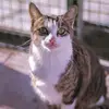 TammyMMackey - @tammymmackey - TikTok