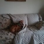 Tammy Davis MacPherson - @macpherson.tammy - Instagram