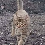 Tammy MacPherson - @tammy.macpherson.74 - Instagram