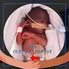 Tammy MacPherson - @tammy.macpherson - TikTok