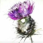 Tammy Macpherson - @macpherson7684 - Instagram