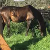 tammymacmahon - @tammymacmahon - TikTok
