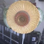 Tammy Maier-Hanson - @maierhanson - Instagram