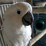 Mimi - @tammy_main - Instagram