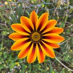 Tammy Main - @maintm - Instagram