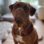 Tammy Major - @tammymajor - Instagram