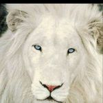 tammymajor123 - @tammy_major - Instagram