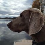 Tammy Mancuso - @tamman13 - Instagram