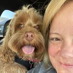 Tammy Mandel - @tmandel007 - Instagram