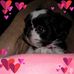 Tammy Manier Smith - Facebook