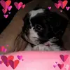 tammymaniersmith - @tammymaniersmith - TikTok