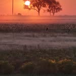 Tammy Mannon Dixon - @tammy5941 - Instagram
