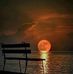 Tammy Mansfield - Facebook
