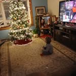 Tammy Mansfield - @tammy.mansfield.528 - Instagram