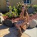 Tammy March - Facebook