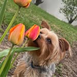 Tammy Yoder Deaton - @tammy_markham - Instagram
