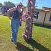 Tammy Marques - @tammy.marques1 - TikTok