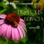 Tamy Marques - Facebook