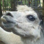 Tammy Marr - @tdmarr - Instagram