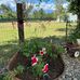 Tammy Martinelli - Facebook