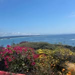 Tammy Martinelli - @tams1happymom - Instagram