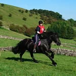 Tammy Masters - @masters3105 - Instagram