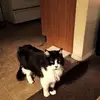 Tammy Masters - @tammy.masters7 - TikTok