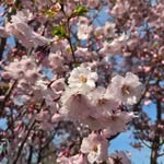 Tammy Masterson LaPointe - @tmazal296 - Instagram