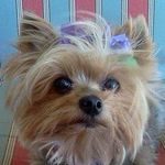 Tammy Matherly Goodrow - @tammyg529 - Instagram